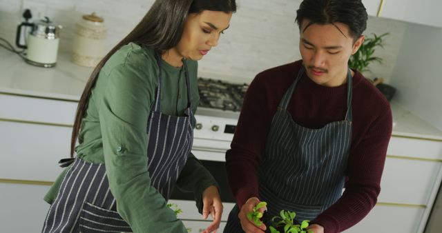 Couple seen preparing fresh herbs in a modern kitchen, creating a sense of teamwork and togetherness. Image is perfect for use in content about cooking, healthy lifestyles, home life, and culinary arts. Could be ideal for blog posts, social media content, and advertisements featuring kitchen-related products or recipes.