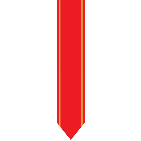 Red Banner with Gold Lines on Transparent Background - Download Free Stock Videos Pikwizard.com