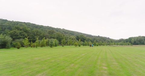 Joggers Running on Lush Green Field Amidst Nature - Download Free Stock Images Pikwizard.com