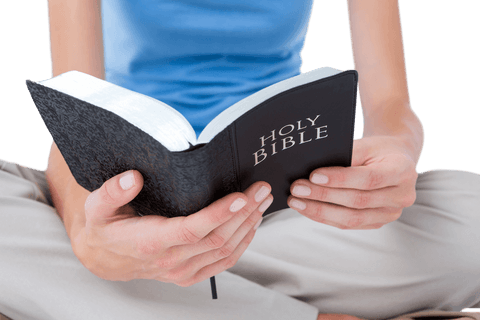 midsection of person reading holy bible transparent background - Download Free Stock Videos Pikwizard.com