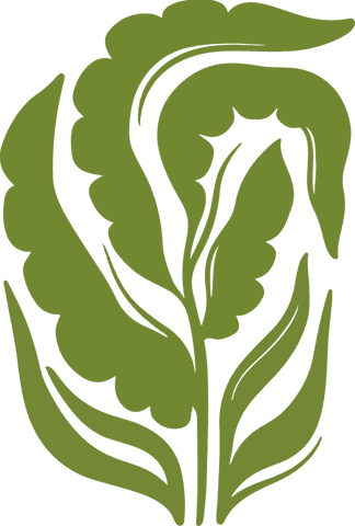 Stylized olive green leaf shapes on transparent background