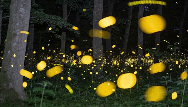 Glowing fireflies filling forest clearing with golden light trails and ethereal glow