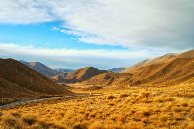 This serene landscape showcases rolling hills covered in golden grass under a clear blue sky with scattered soft clouds. The winding road adds an element of depth and invites exploration. Ideal for use in nature and outdoor-themed advertisements, travel websites, or as a peaceful background image.