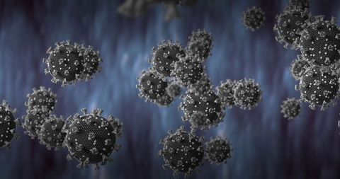 Virus particles in fluid: detailed microscopic view