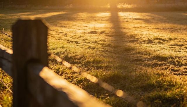 Golden-hour pasture with dew-kissed grass, long shadows and weathered fence post