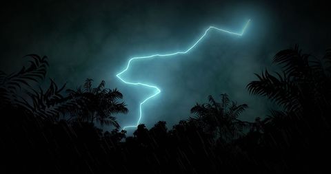 Dramatic Lightning Storm Above Palm Trees with Dark Cloudy Sky