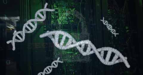 Genetic Data Processing in Digital Environment