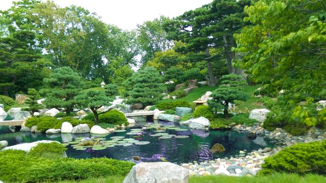 Featuring a traditional Japanese garden with a serene pond surrounded by lush greenery, bonsai trees and scattered rocks, this image showcases tranquil natural beauty. Ideal for backgrounds, landscapes, travel blogs, gardening websites, and wellness-themed projects.