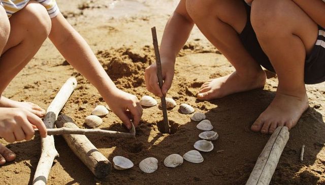 Children kneeling arranging seashell circle and digging with sticks on sunny sandy beach