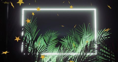 Neon square frame illuminating tropical palm fronds with gold star confetti and studio glow