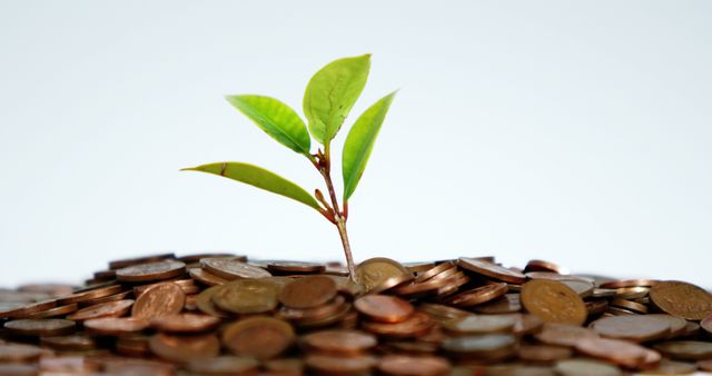 Young green plant sprouting from a pile of coins, ideal for illustrating concepts of financial growth, investment potential, business success, economic development, sustainable finance, and wealth management. Useful for blogs, websites, financial reports, and eco-friendly investment promotions.