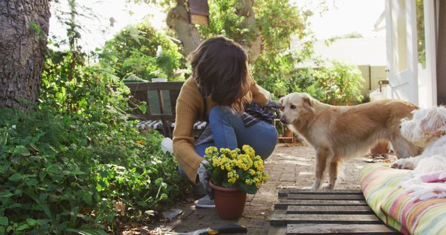 Smiling caucasian woman planting yellow flowers in sunny garden her pet dogs watching her. domestic life, gardening and pet companionship concept.