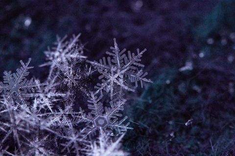 Delicate Frozen Snowflakes Under Moonlight Glow