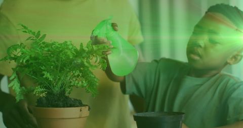 Young Boy Watering Plants with Green Light Illumination - Download Free Stock Images Pikwizard.com