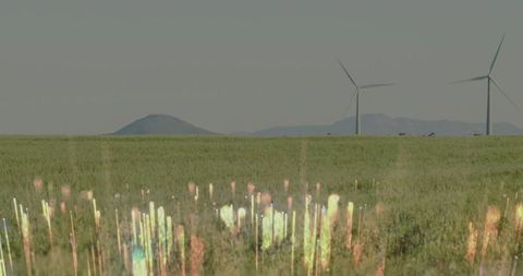 Futuristic Holographic Lights in Grassland with Wind Turbines