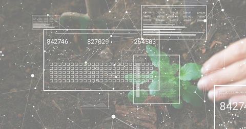 Hand inspecting seedling with digital hud overlay for precision agriculture and smart farming