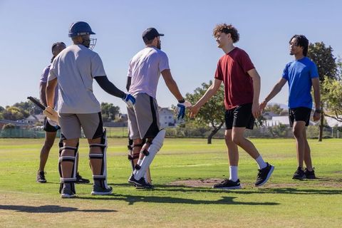 Community cricket team greeting after match on sunny park pitch, sportsmanship and camaraderie