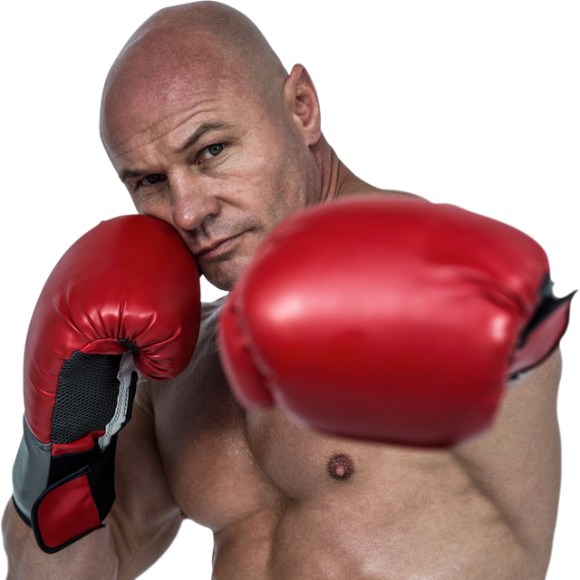 Powerful Punch Boxer in Fighting Stance with Red Gloves. Transparent Background - Download Free Stock Videos Pikwizard.com