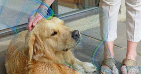 Elderly Bonding with Golden Retriever on Patio