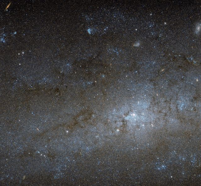 This image captures the central region of spiral galaxy NGC 247 in the constellation Cetus. NGC 247, located about 11 million light-years away, is part of the Sculptor Group of galaxies. The image shows the galaxy's bright nucleus surrounded by stars, gas, and dust. Recognizable features include dark patches and filaments of dust, intersected by bright knots of gas called H II regions. This stark contrast makes the photo ideal for educational purposes, scientific presentations, and materials related to space and astronomy.