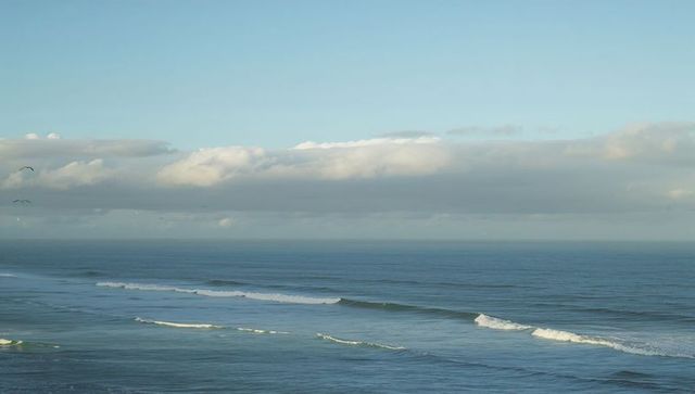 Calm coastal panorama with gentle ocean swells, low clouds and distant seabirds at dawn