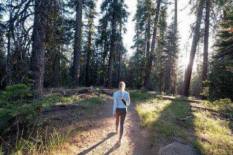 Woman Enjoys Nature During Forest Trail Adventure at Sunset