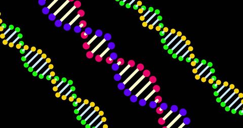 Colorful DNA Strands on Black Background - Download Free Stock Images Pikwizard.com