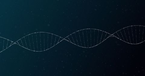 Digital Double Helix of DNA Rotating on Dark Background - Download Free Stock Images Pikwizard.com