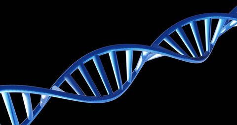 DNA Strand Spinning with Copy Space on Black Background - Download Free Stock Images Pikwizard.com