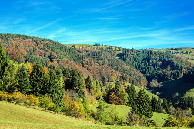 Hilly landscape with lush green grass and diverse forest vegetation showcasing autumn colors on a sunny day. Ideal for use in travel blogs, nature articles, environmental campaigns, rural tourism brochures, and landscape photography collections.
