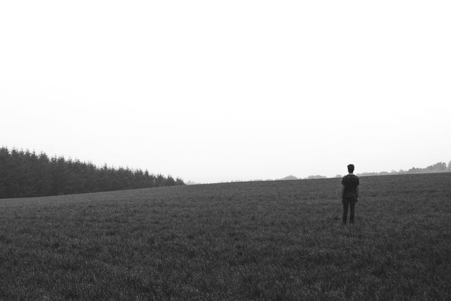 Person Standing Alone in Vast Field on Foggy Day - Download Free Stock Images Pikwizard.com