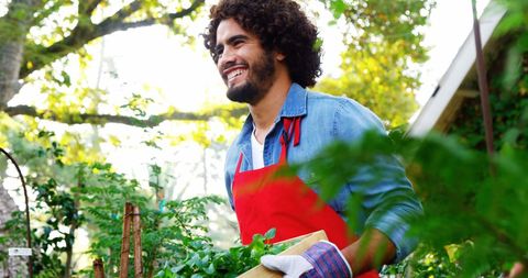 Joyful Gardener with Curly Hair Caring for Garden Plants