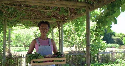 Woman harvesting vegetables under pergola holding wooden crate of garden produce