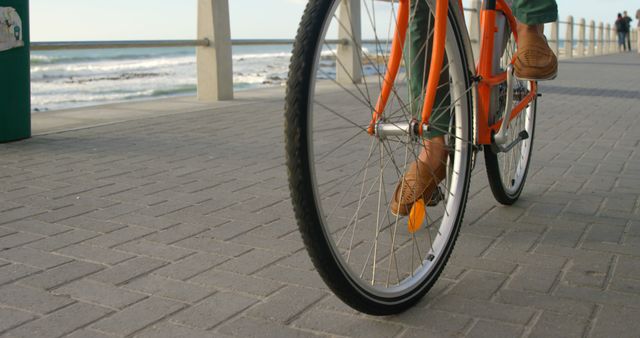 Close-up of Person Cycling on Beachside Path - Download Free Stock Images Pikwizard.com