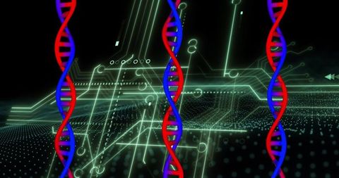 DNA Strands and Digital Tech Interface