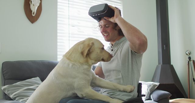 Man Enjoying VR Headset with Playful Labrador at Home - Download Free Stock Images Pikwizard.com