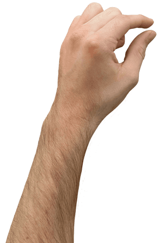 Male Hand Holding Gesture on Transparent Background - Download Free Stock Videos Pikwizard.com