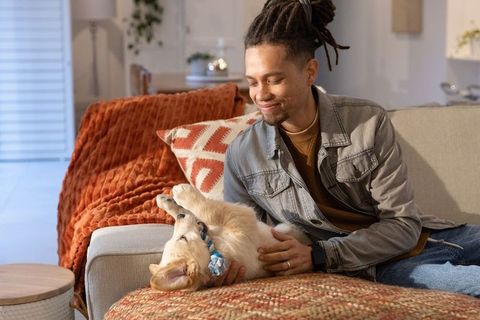 Mid-adult man smiling while petting light-colored dog on cozy living room sofa