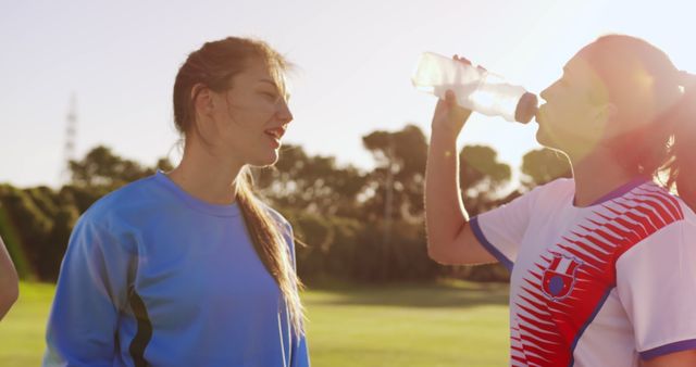 Female Soccer Players Refreshing During Practice Session - Download Free Stock Images Pikwizard.com