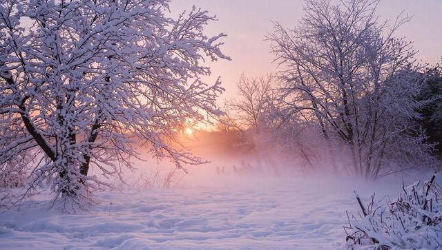 Misty pastel sunrise over snowdrift meadow with frosted trees and tranquil winter light