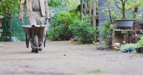 Gardener Pushing Wheelbarrow in Lush Bonsai Nursery - Download Free Stock Images Pikwizard.com
