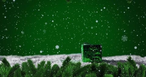 Snow falling over christmas gift amidst fir branches