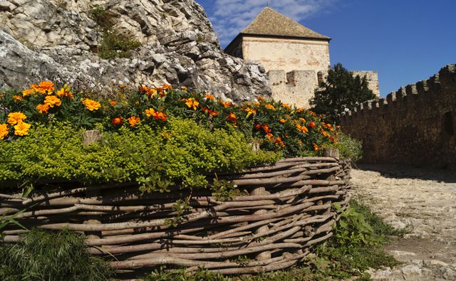 Old stone castle with blooming flower garden displaying vibrant orange and yellow flowers. Ideal for travel guides, historical site promotions, and educational content about medieval architecture. Scenic view for postcards and decorative prints.