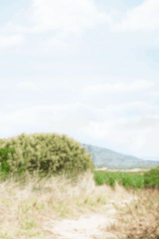 transparent meadow landscape with blue sky and field - Download Free Stock Videos Pikwizard.com