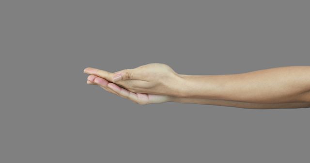 Hands Holding Object Against Grey Background - Download Free Stock Images Pikwizard.com