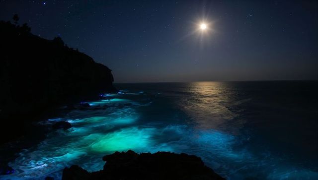 Bioluminescent waves under starry moonlit sky