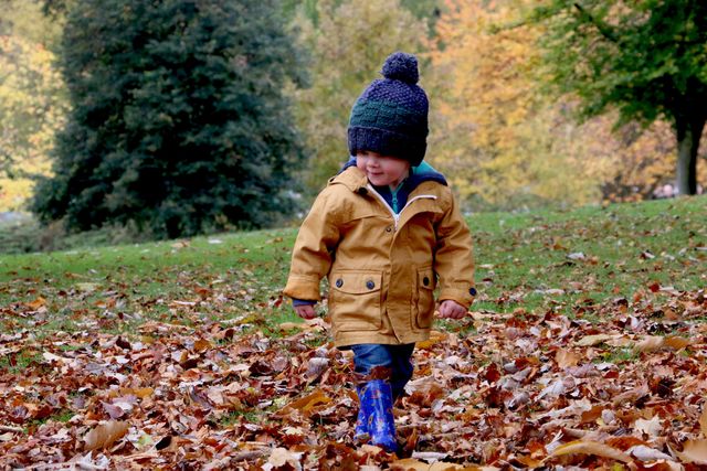 Toddler Exploring Autumn Leaves Outdoors in Park - Download Free Stock Photos Pikwizard.com