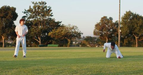 Male Cricket Fielders Diving and Kneeling for Red Ball on Sunlit Grass at Golden Hour