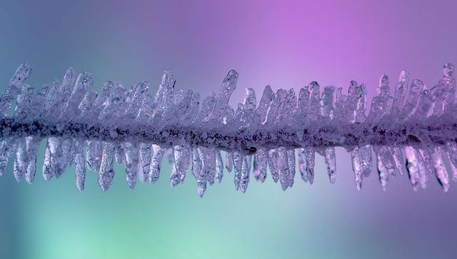 Shimmering frost coating forming icicle spikes on twig with pastel gradient bokeh