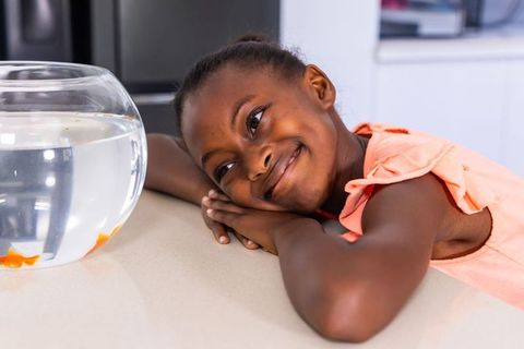African american girl leaning on countertop watching goldfish in bowl, home pet moment